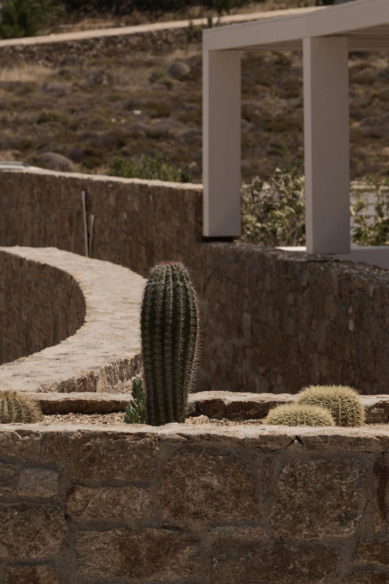 Elia  Yi Hotel Mykonos מראה חיצוני תמונה